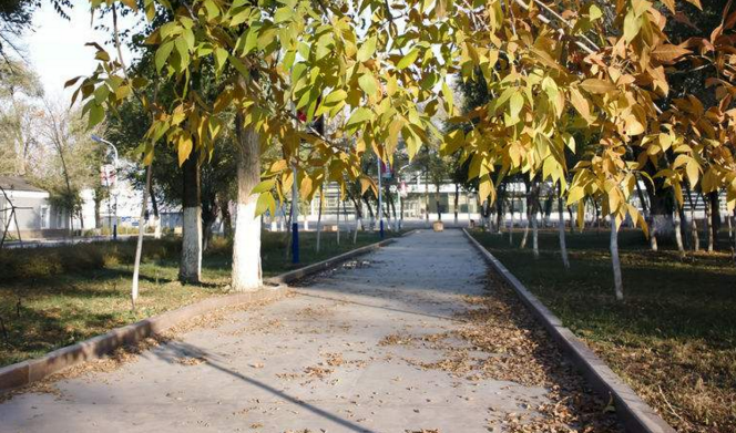 小區道路掃地機.png 小區道路掃地機.png